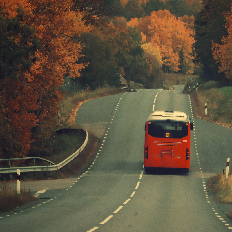 Right marking & certification for type of transportation